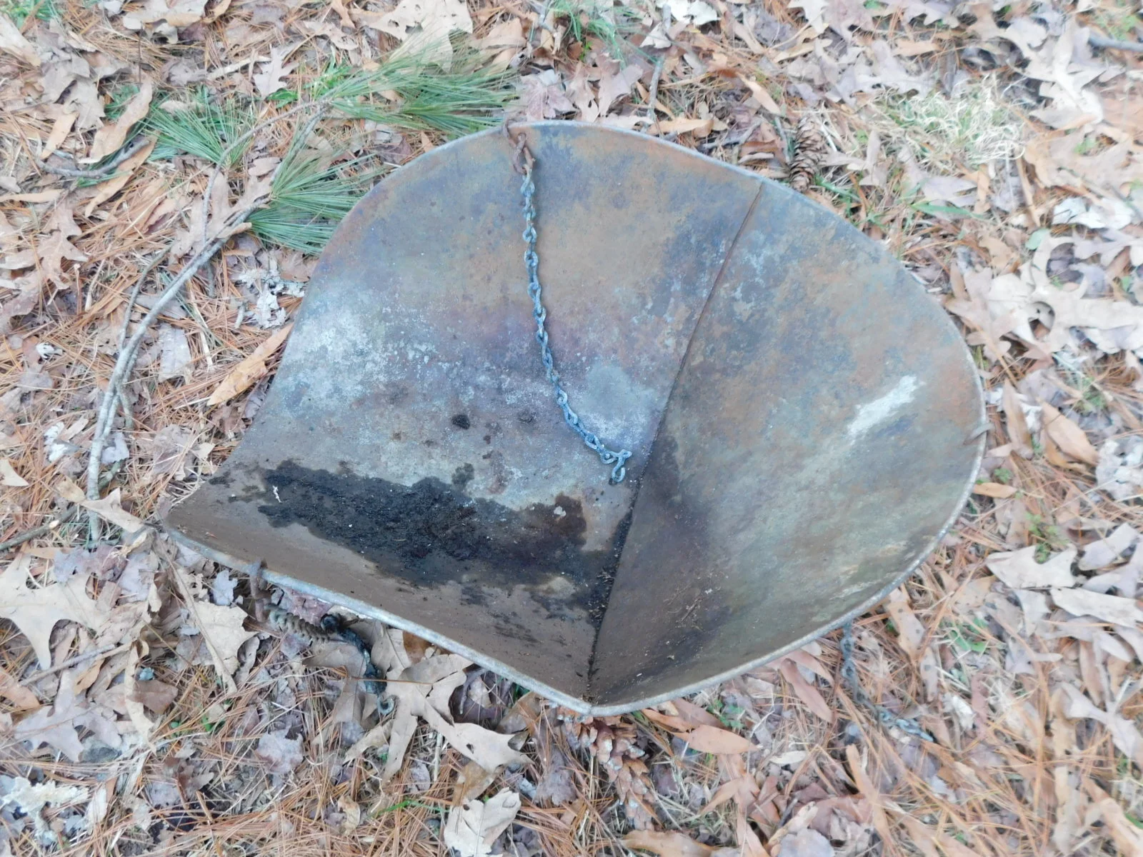 DSCN6699.JPG
