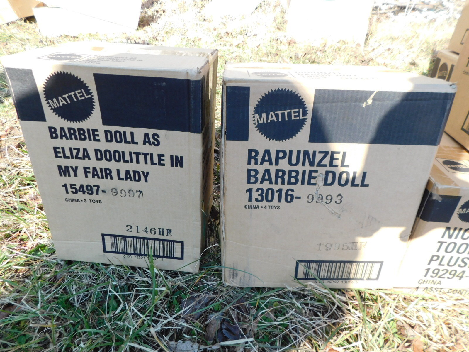 DSCN6615.JPG