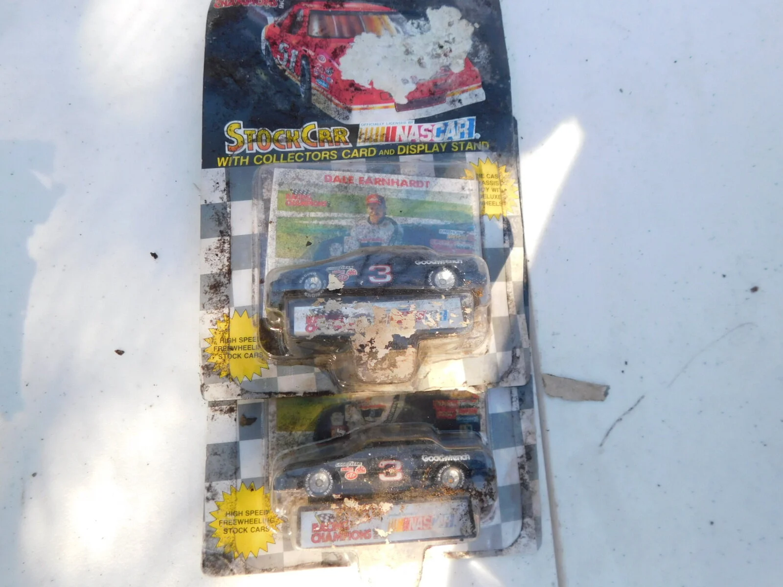 DSCN6731.JPG