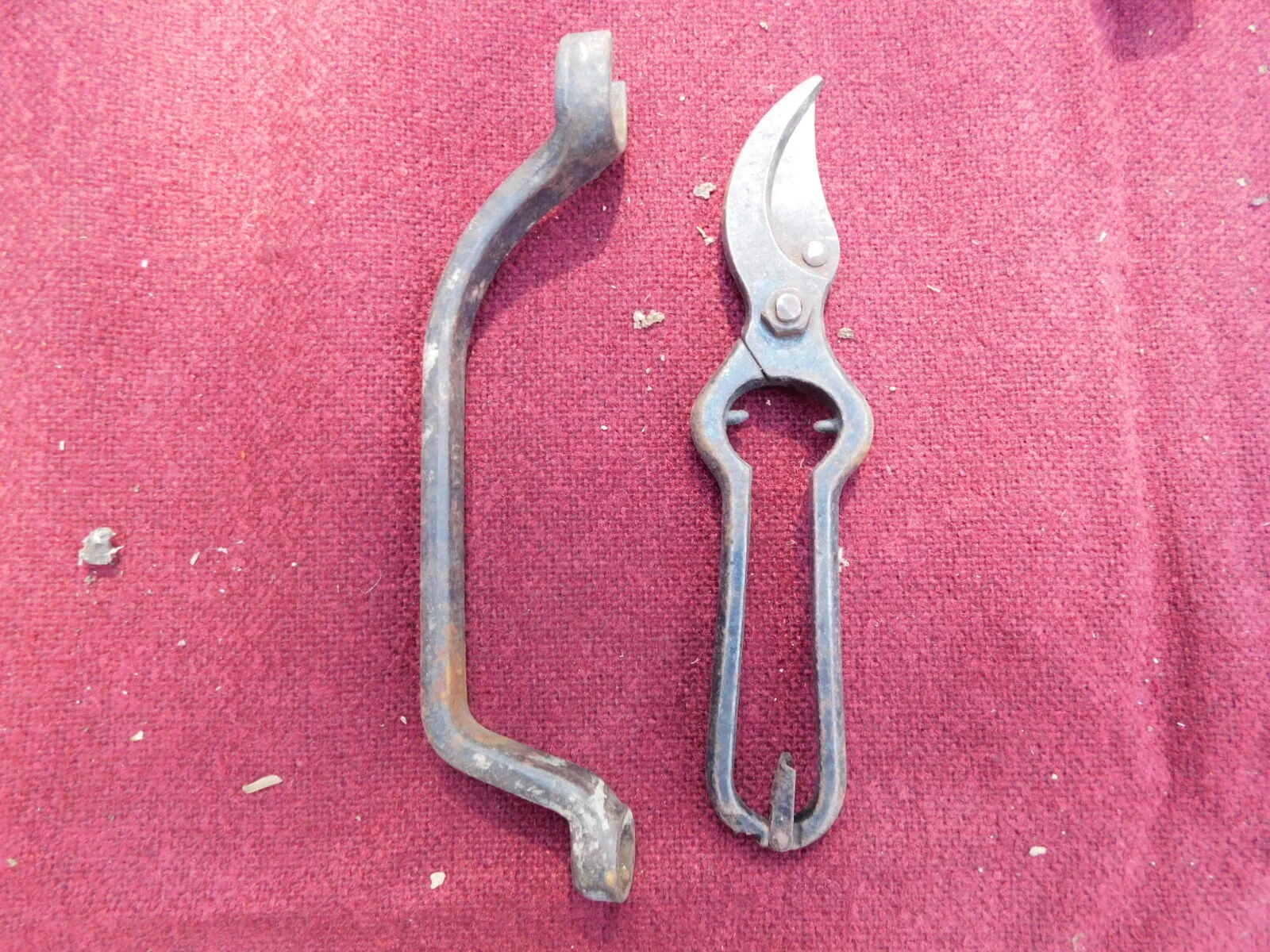 DSCN6880.JPG