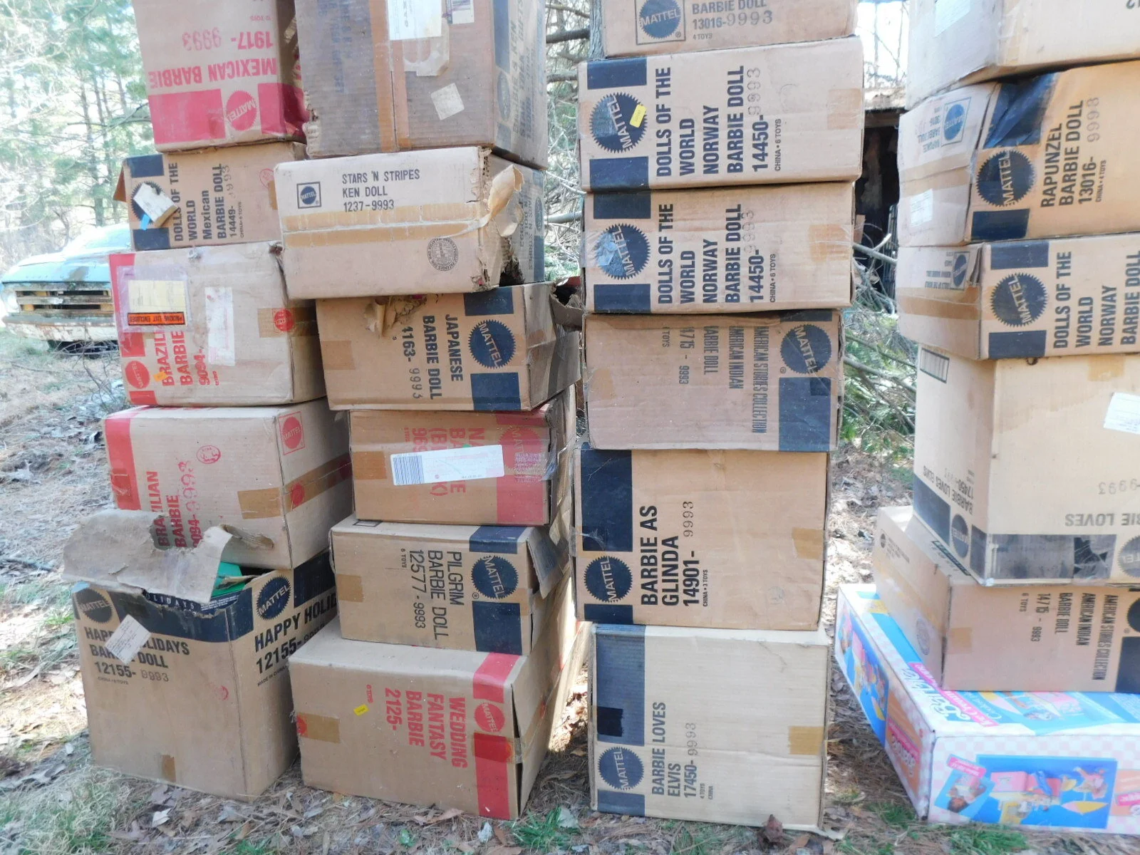 DSCN6928.JPG
