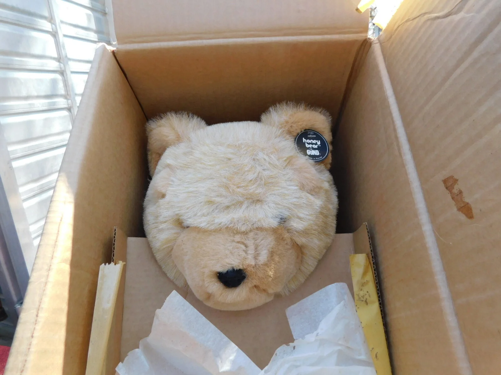 DSCN6961.JPG