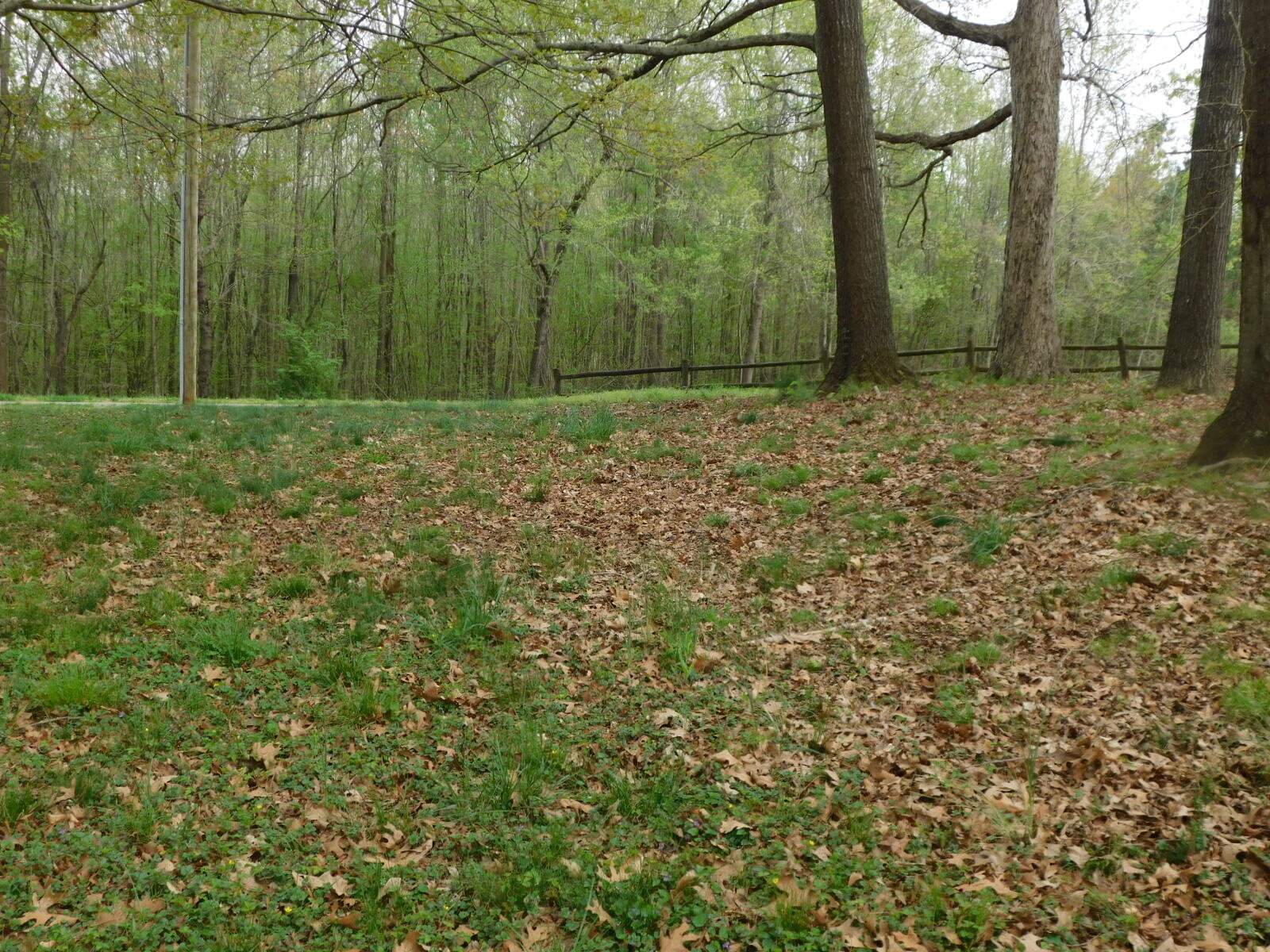 DSCN7063.JPG