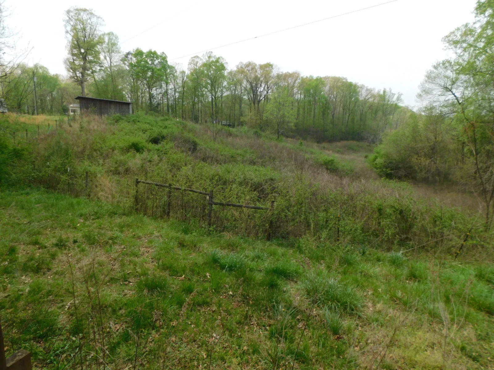 DSCN7077.JPG