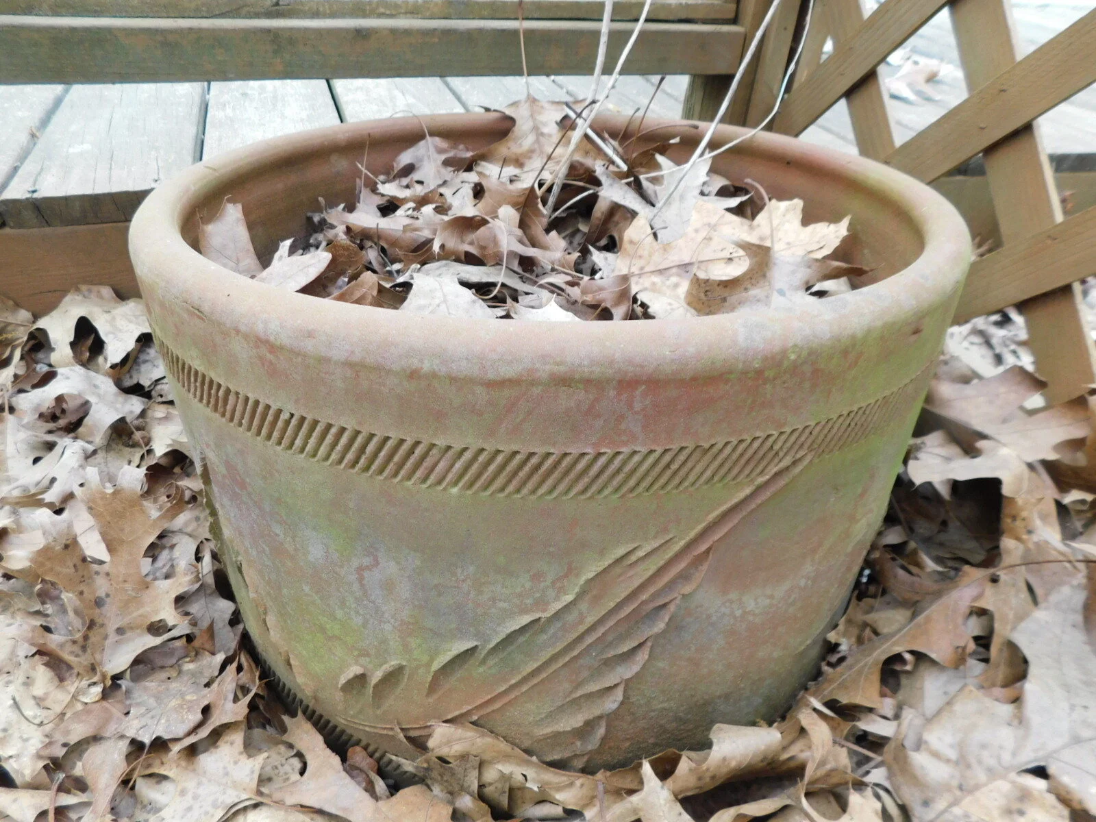 DSCN7087.JPG