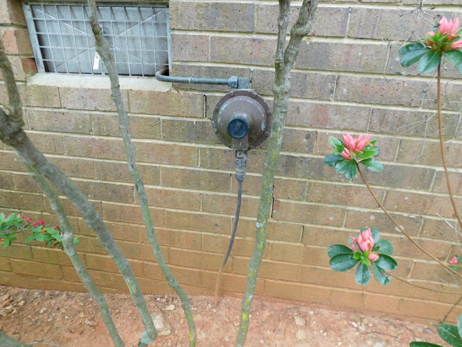 DSCN7096.JPG