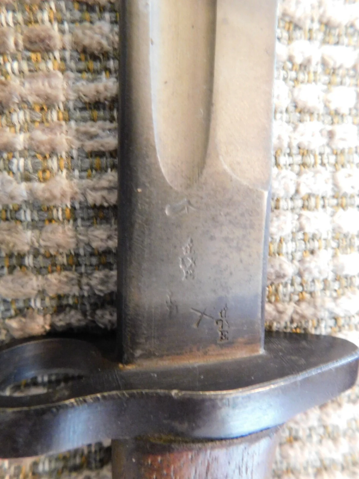 DSCN7257.JPG