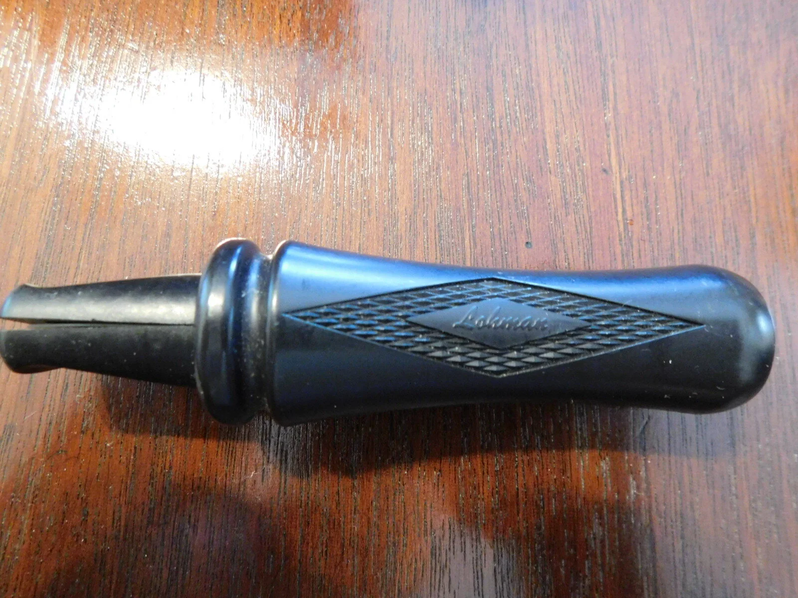 DSCN7300.JPG