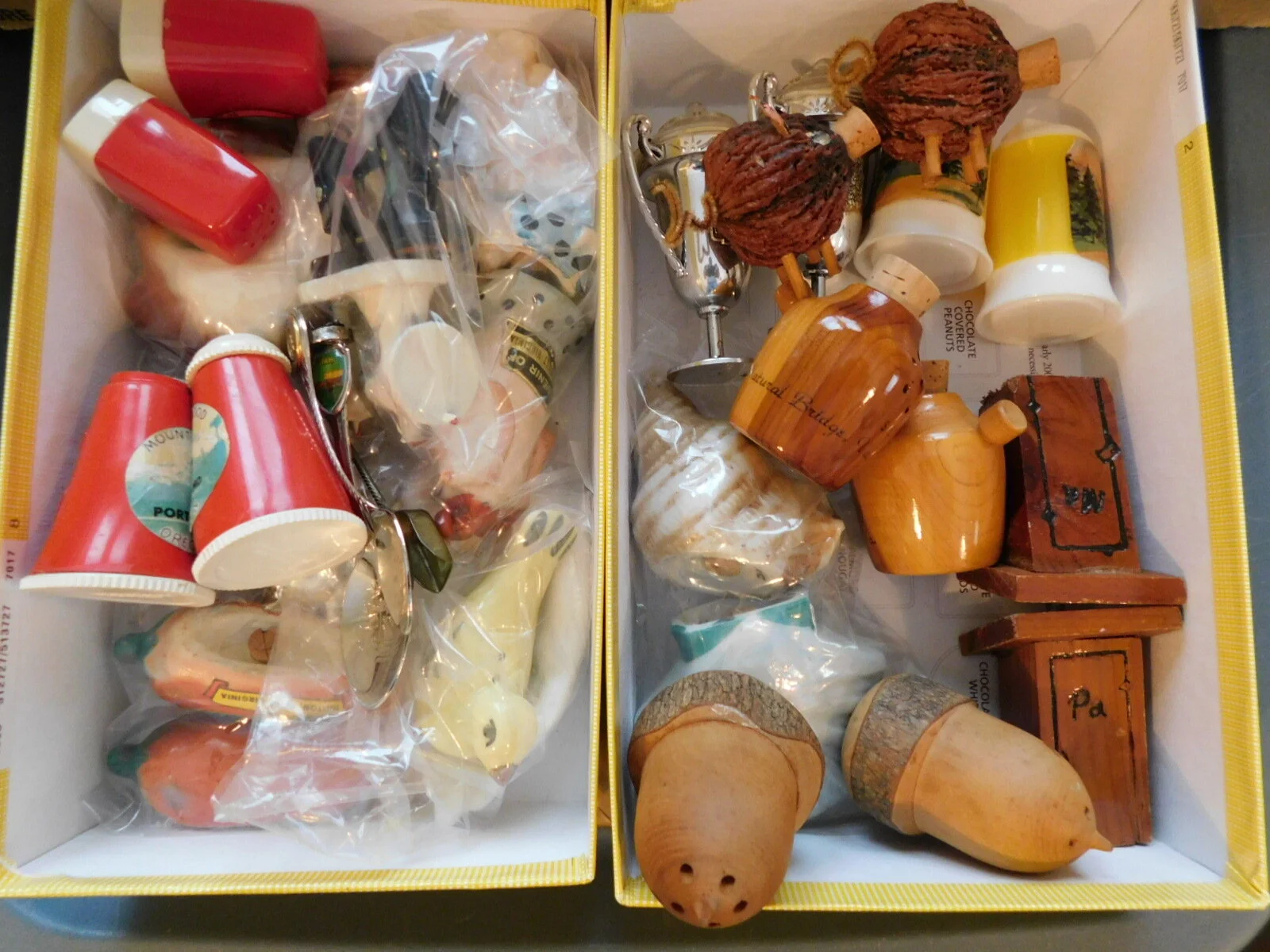 DSCN7320.JPG