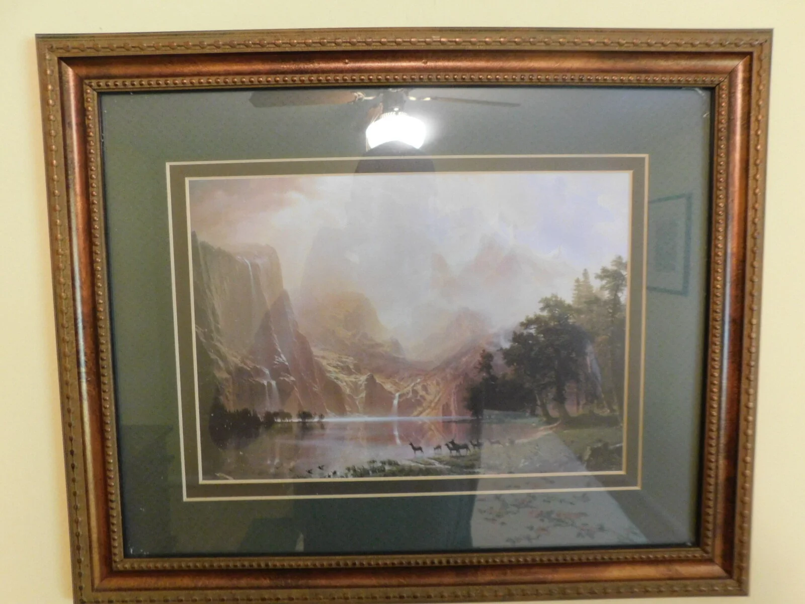 DSCN7534.JPG