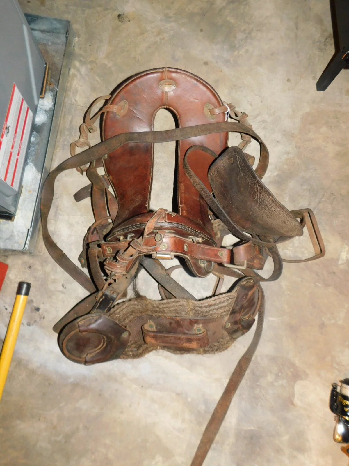 DSCN7617.JPG