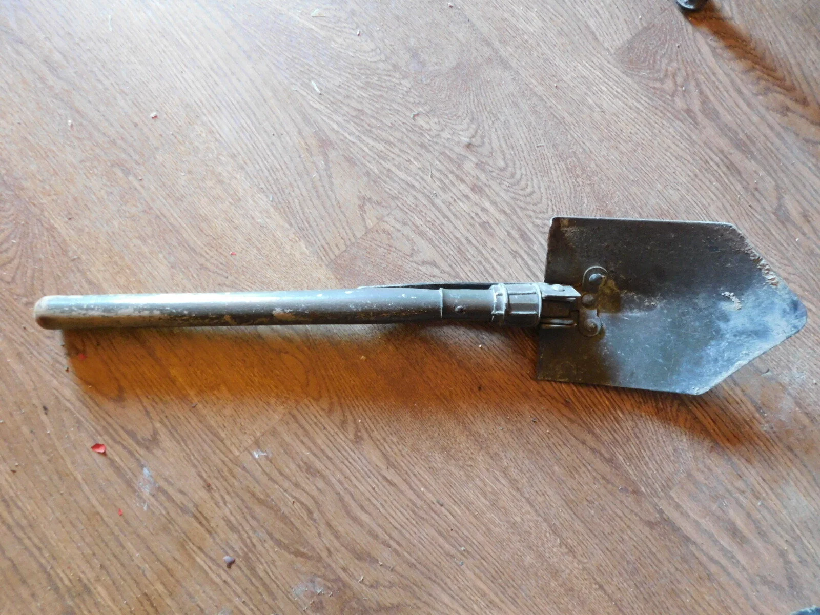 DSCN7738.JPG