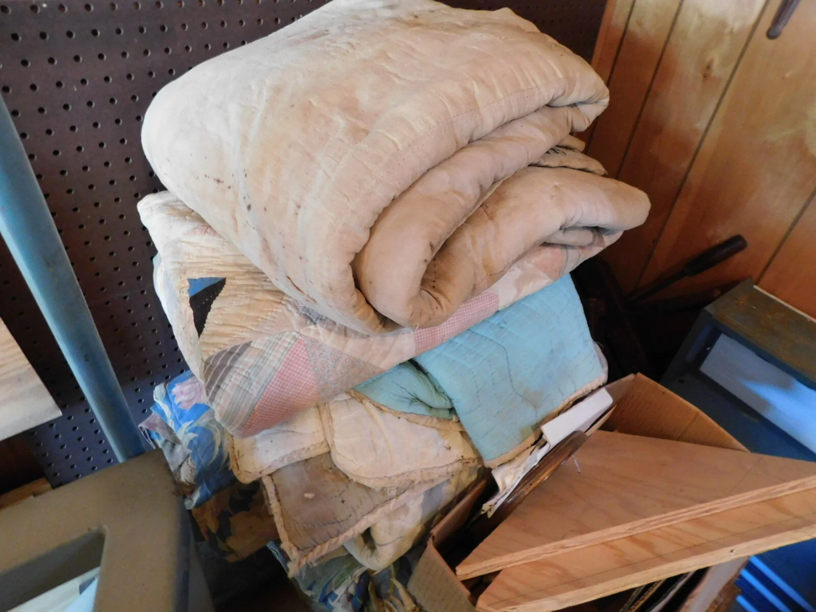 DSCN7776.JPG