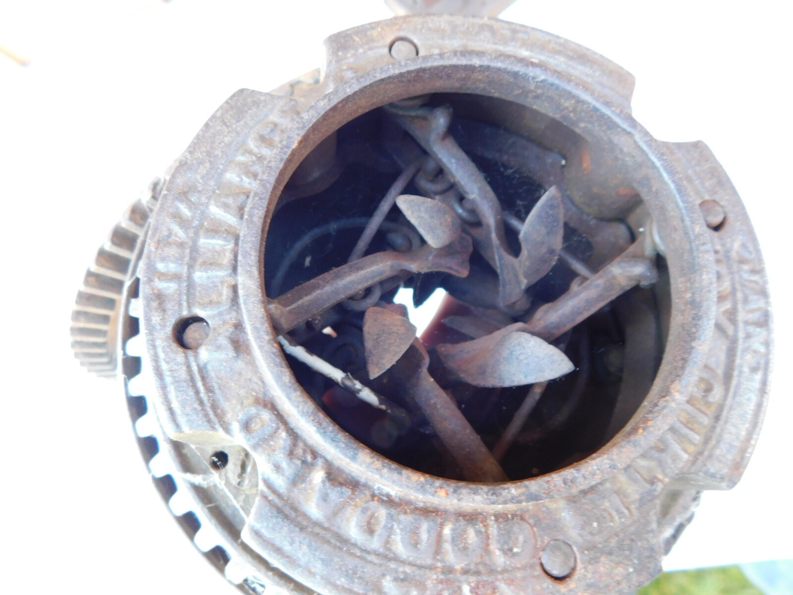 DSCN7848.JPG