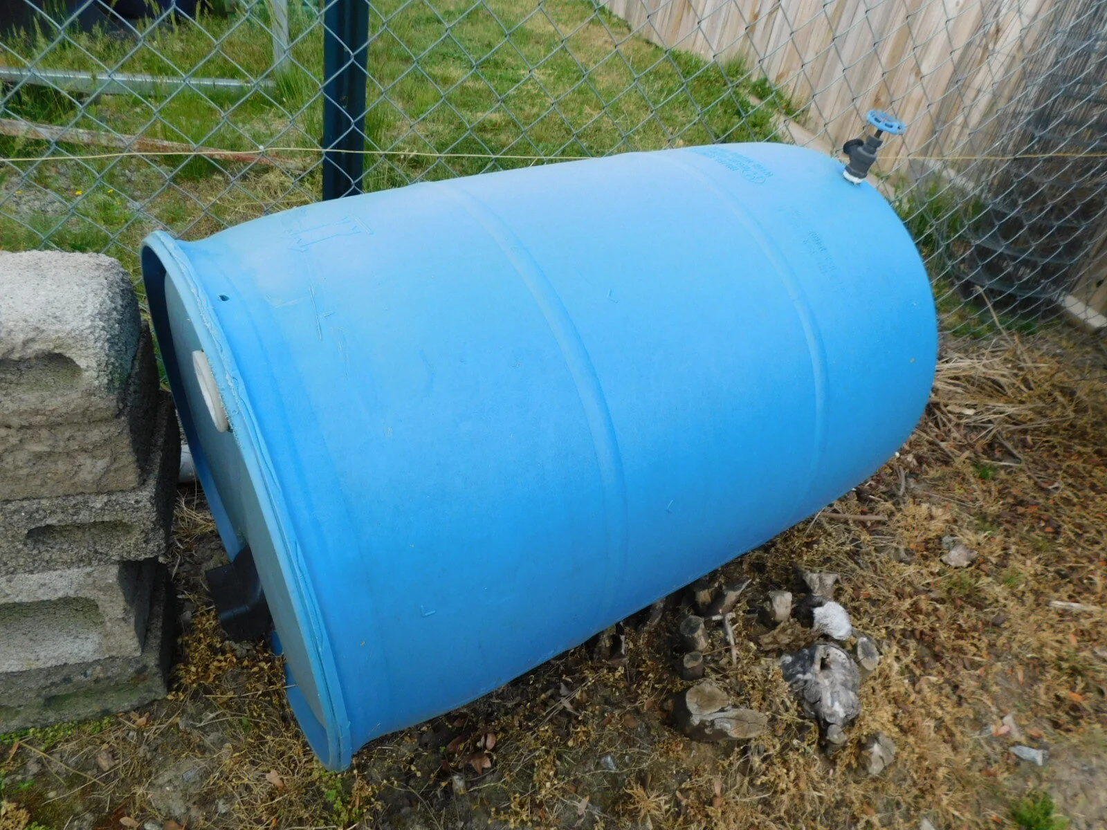 DSCN8226.JPG