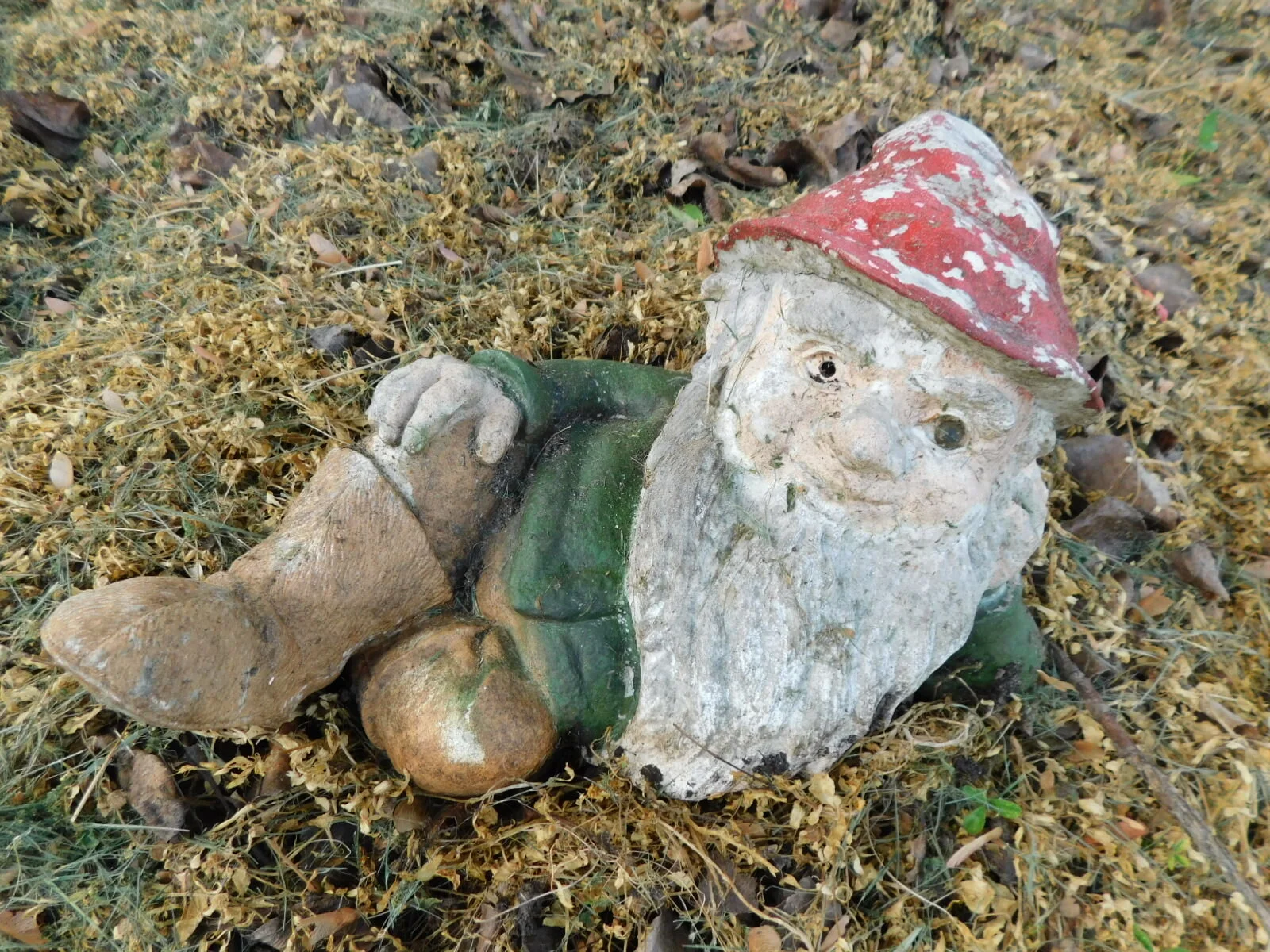 DSCN8231.JPG