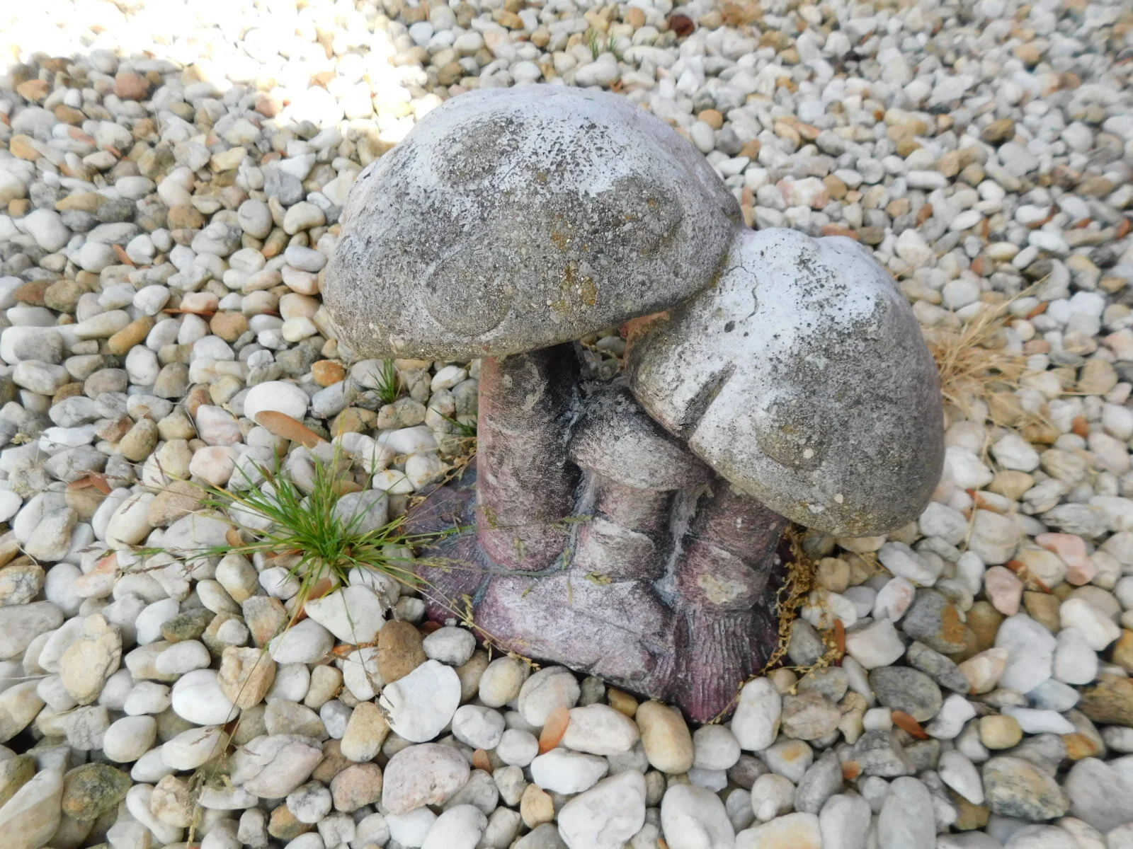 DSCN8234.JPG