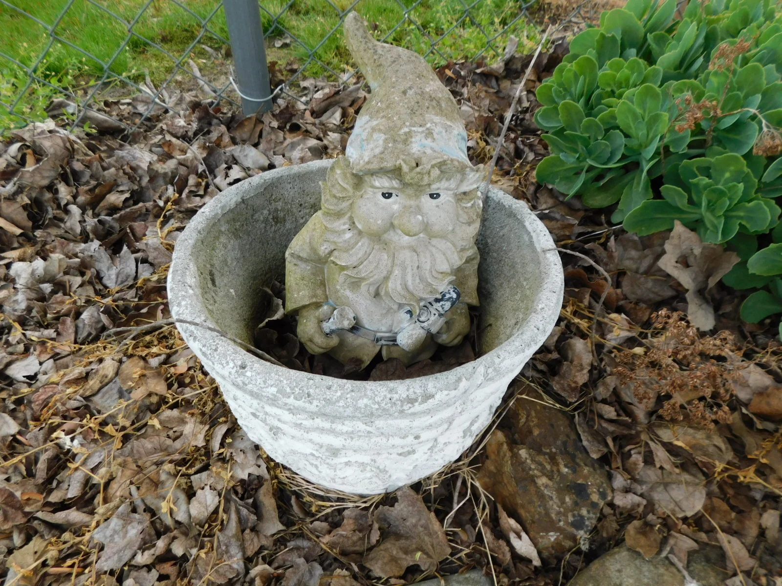 DSCN8235.JPG