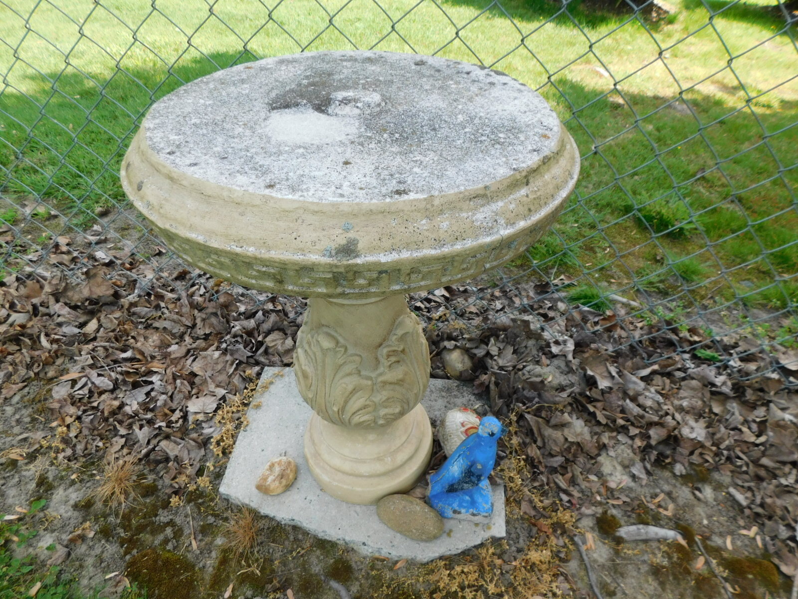 DSCN8236.JPG