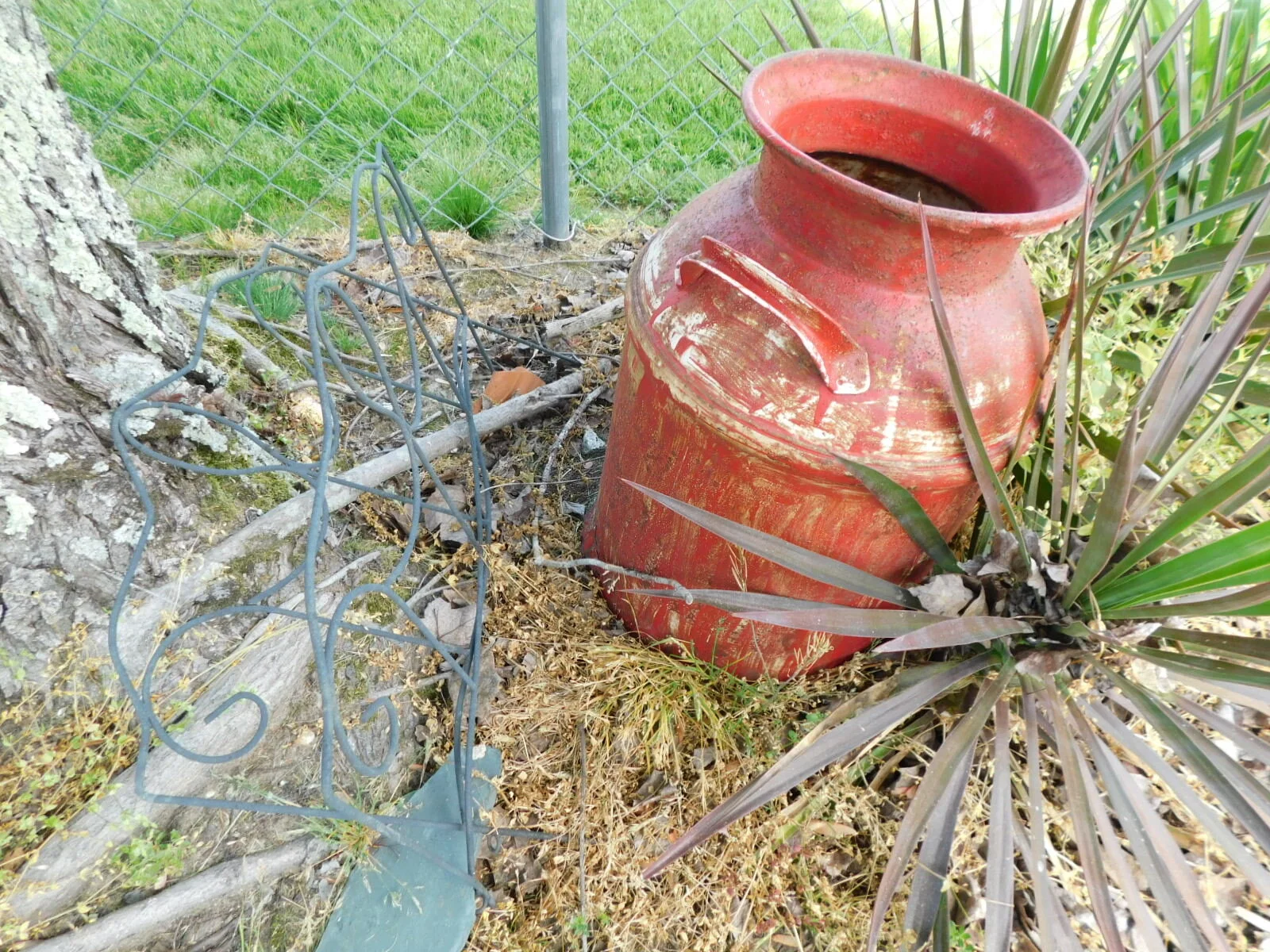 DSCN8238.JPG