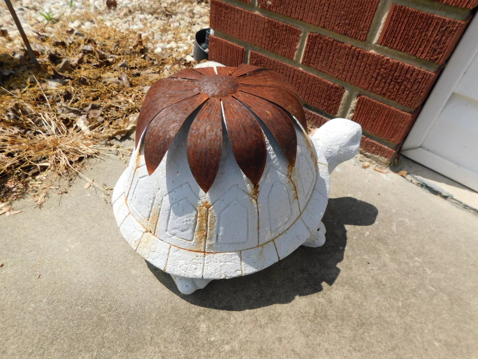 DSCN8239.JPG
