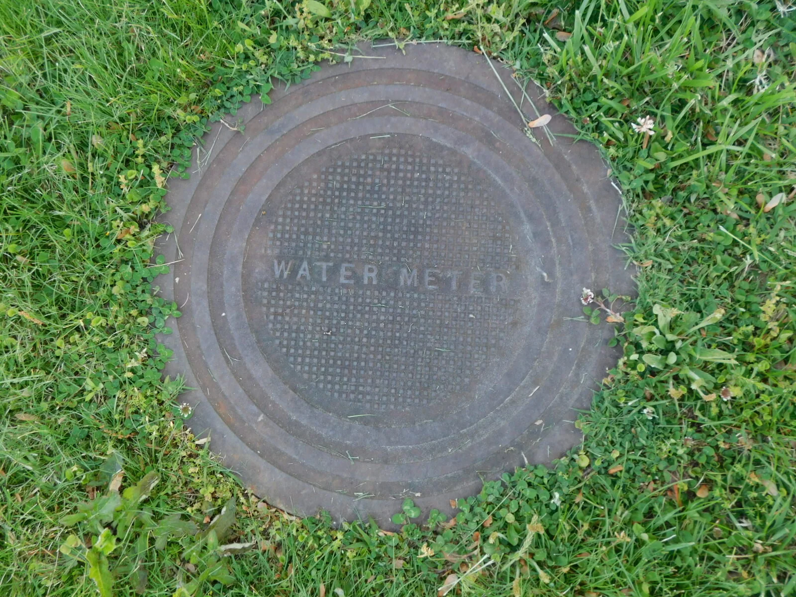 DSCN8465.JPG