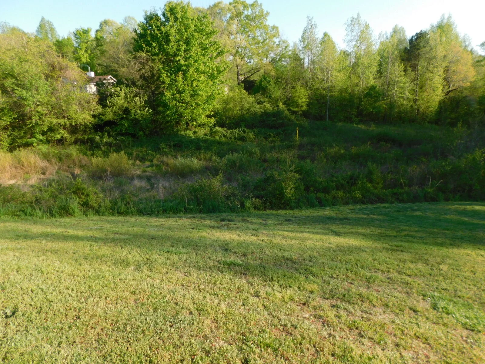 DSCN8482.JPG