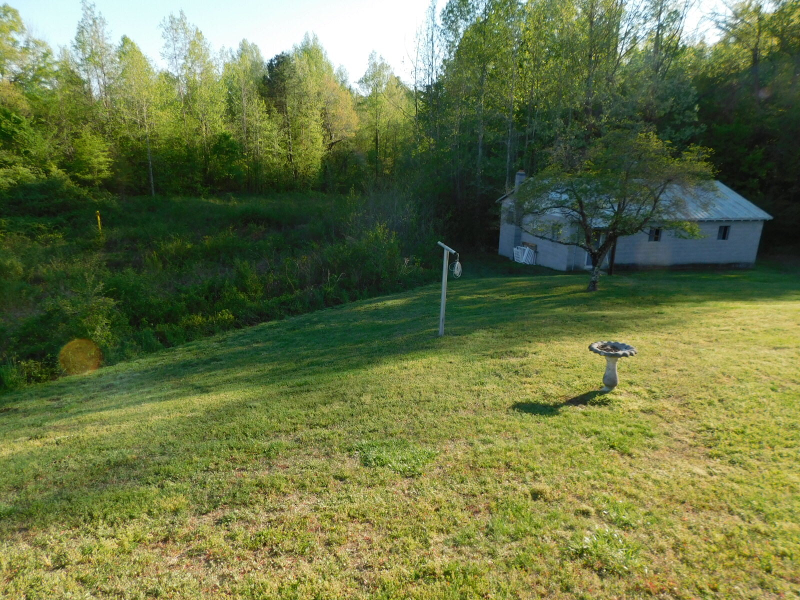 DSCN8483.JPG