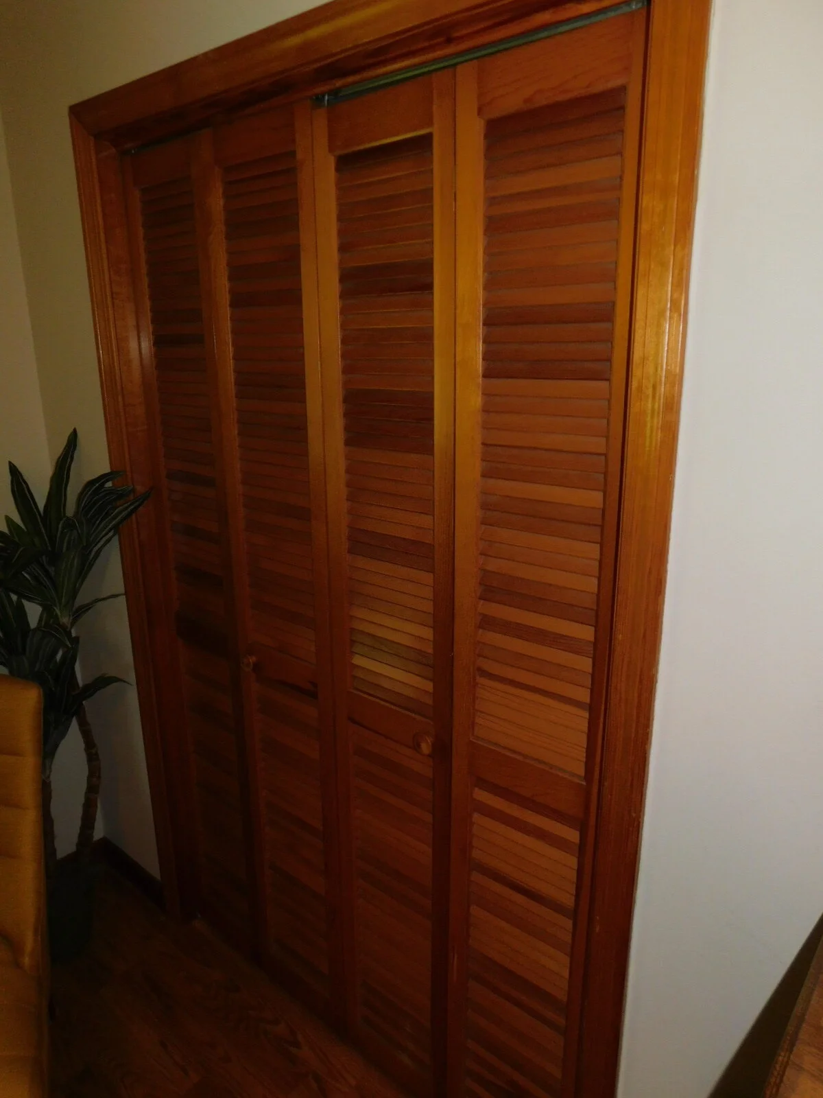 DSCN8825.JPG