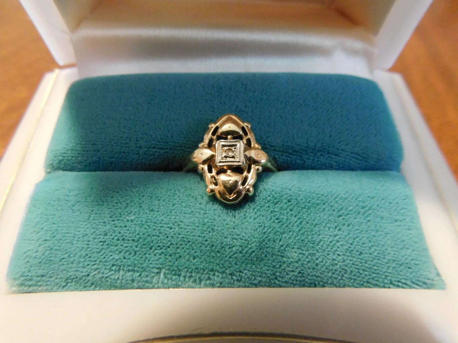 DSCN8894.JPG