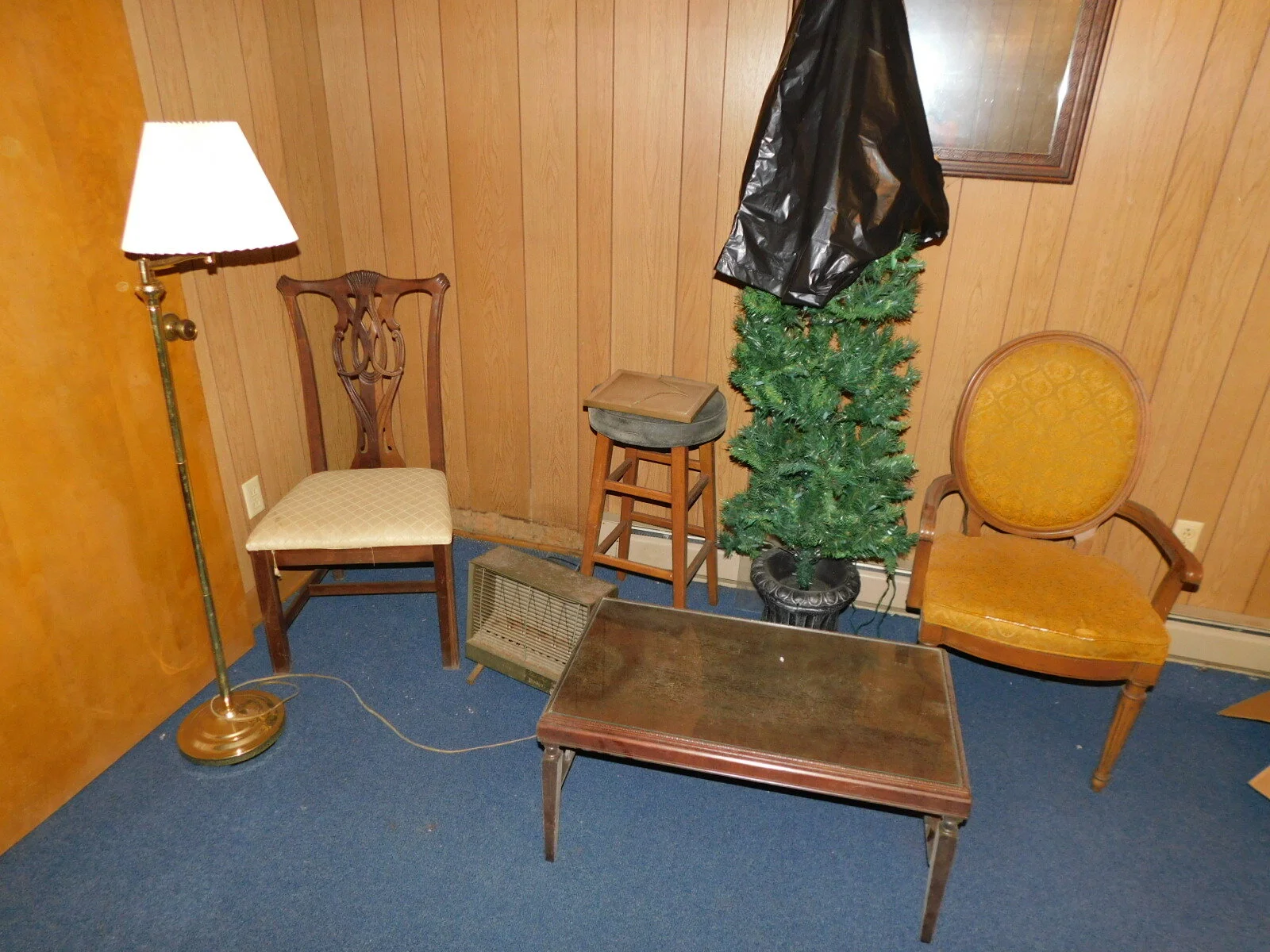 DSCN9006.JPG