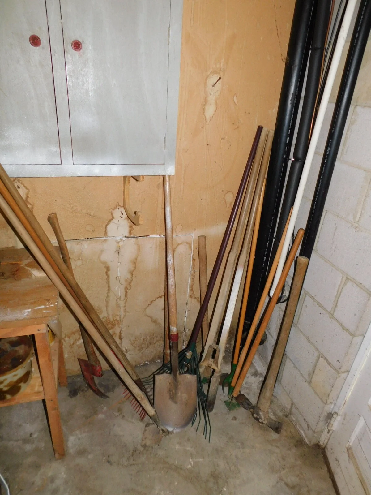 DSCN9034.JPG
