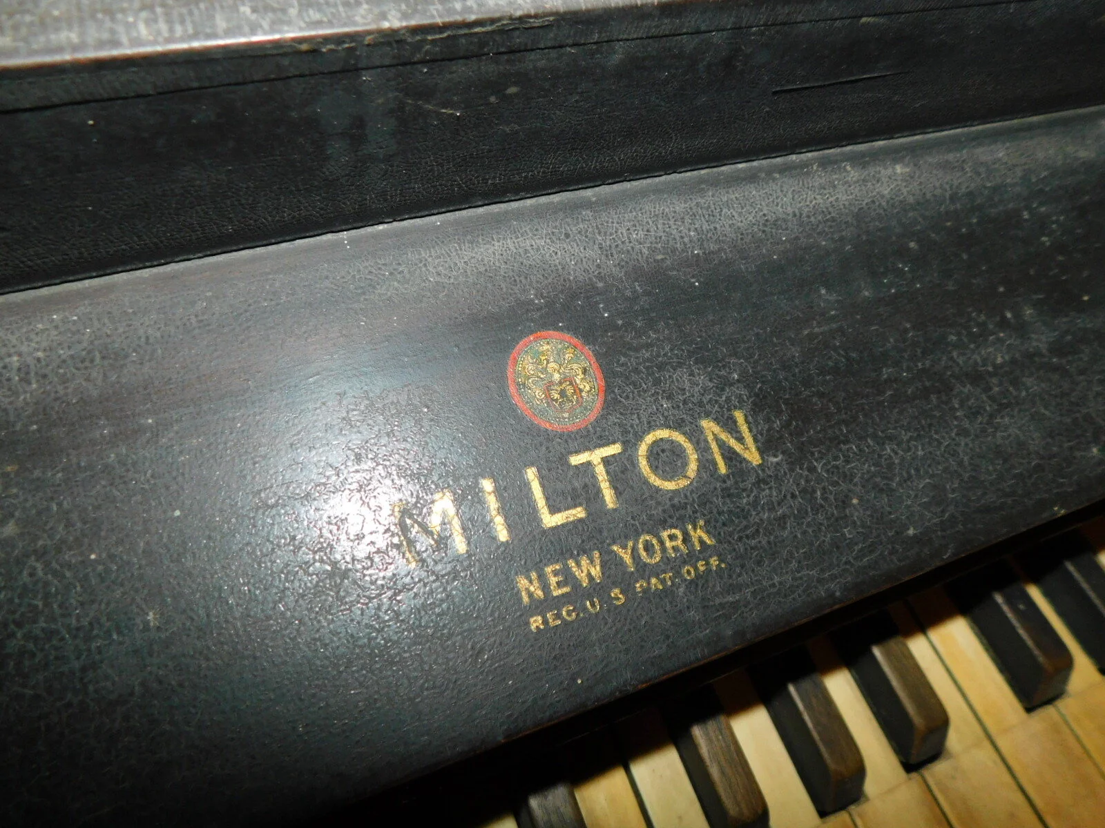 DSCN9065.JPG
