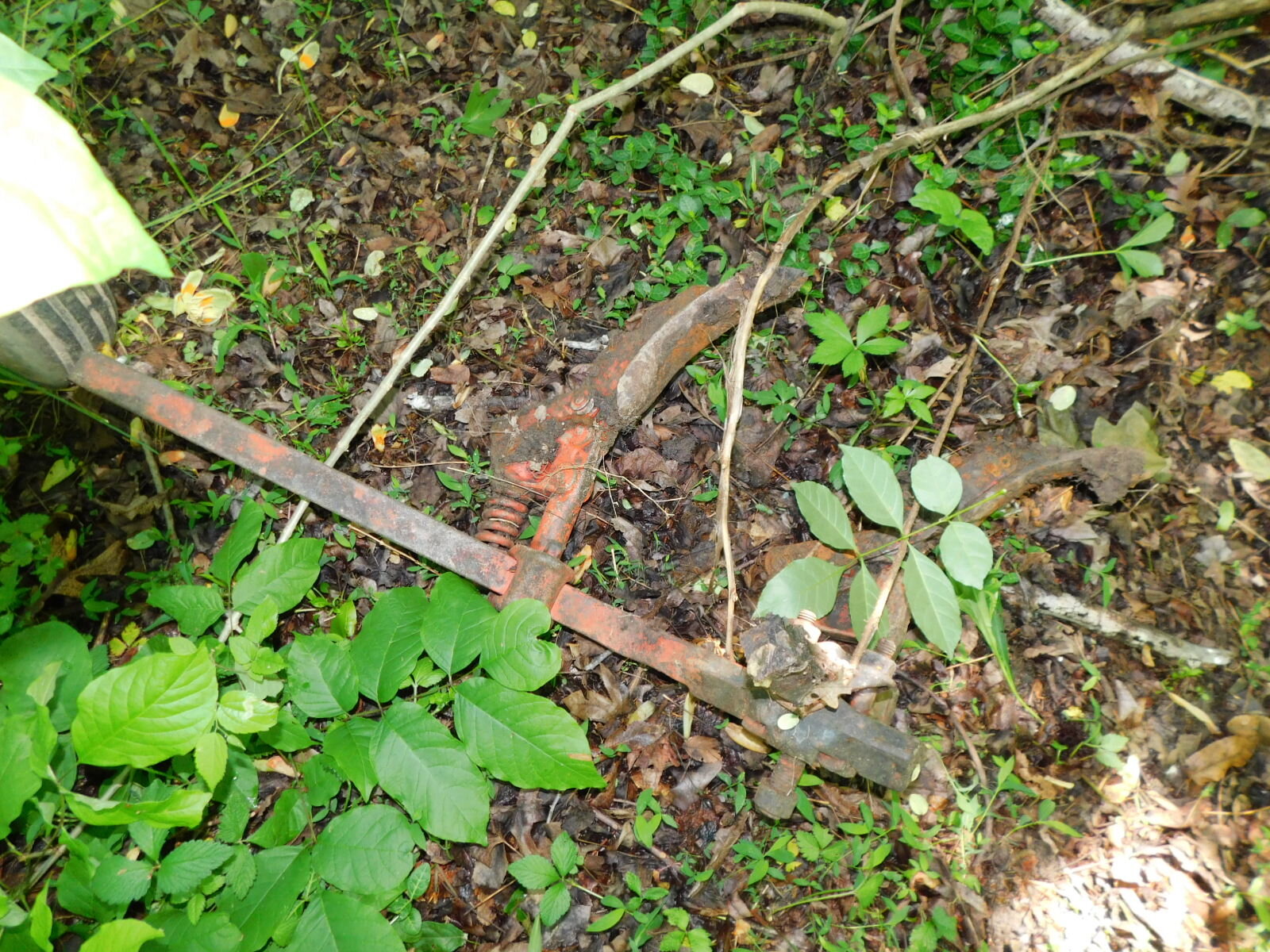 DSCN9073.JPG