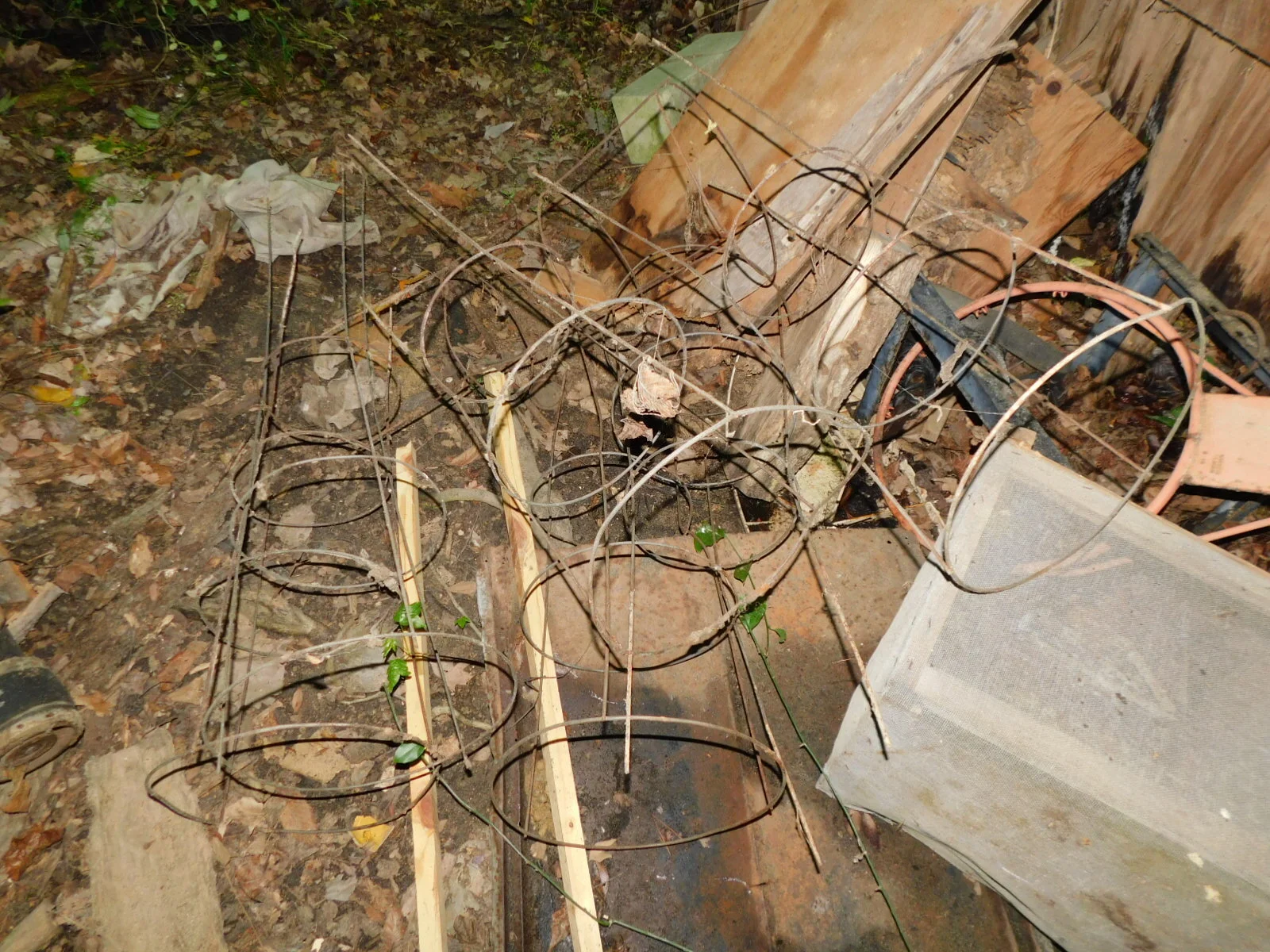 DSCN9081.JPG