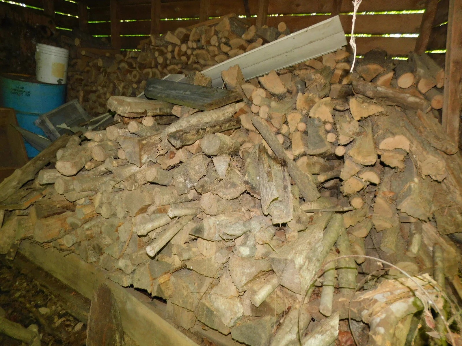 DSCN9083.JPG