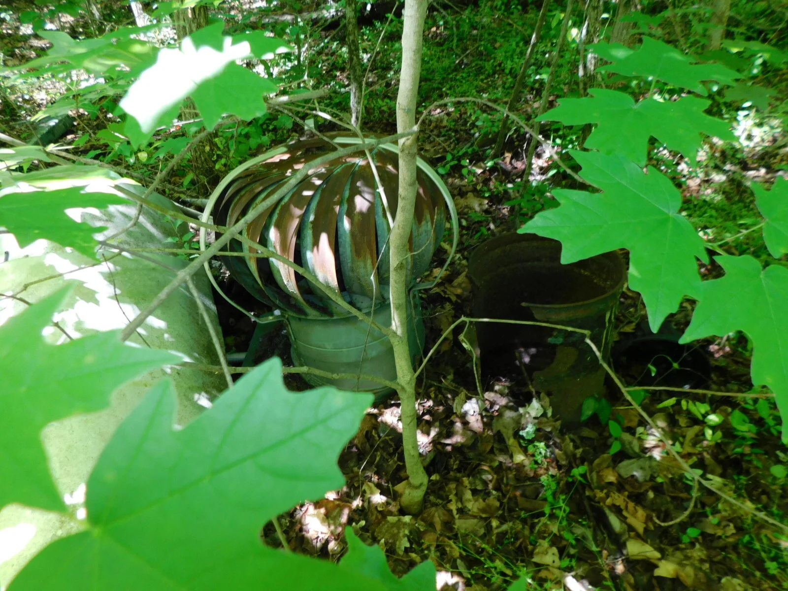 DSCN9085.JPG