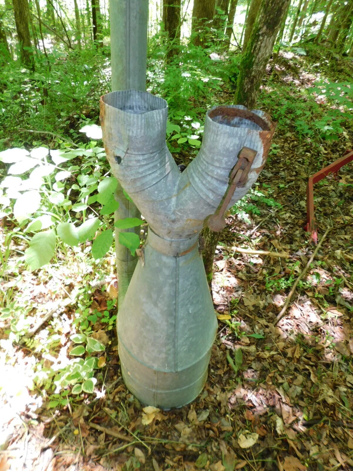 DSCN9086.JPG