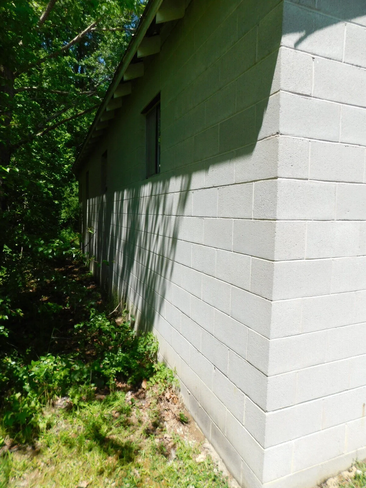 DSCN9182.JPG