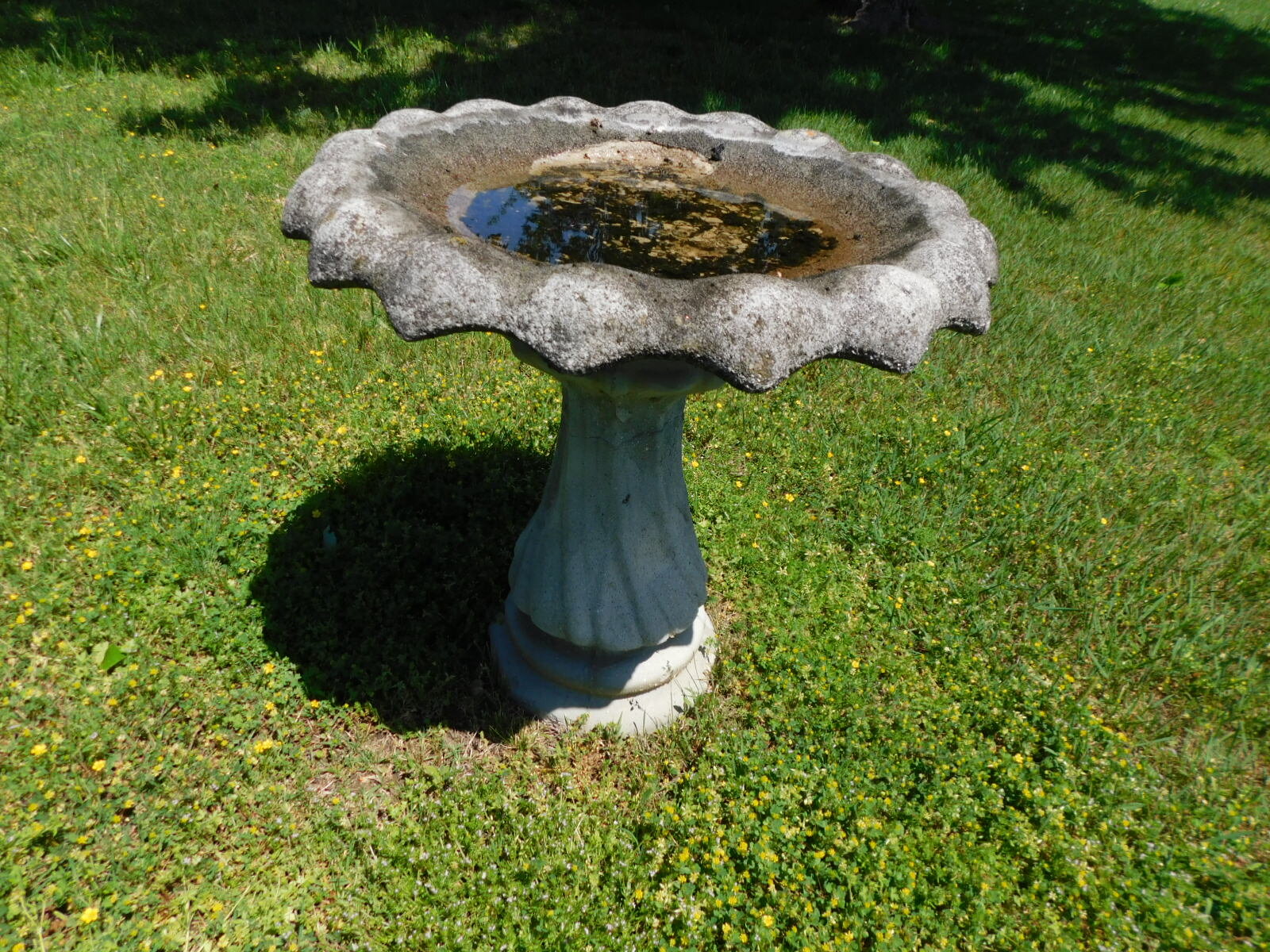 DSCN9190.JPG