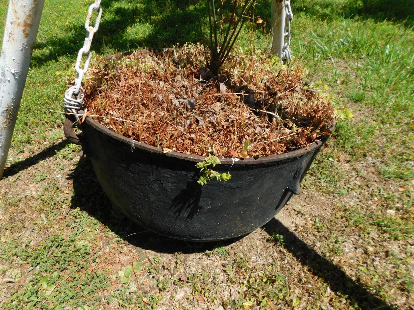 DSCN9194.JPG