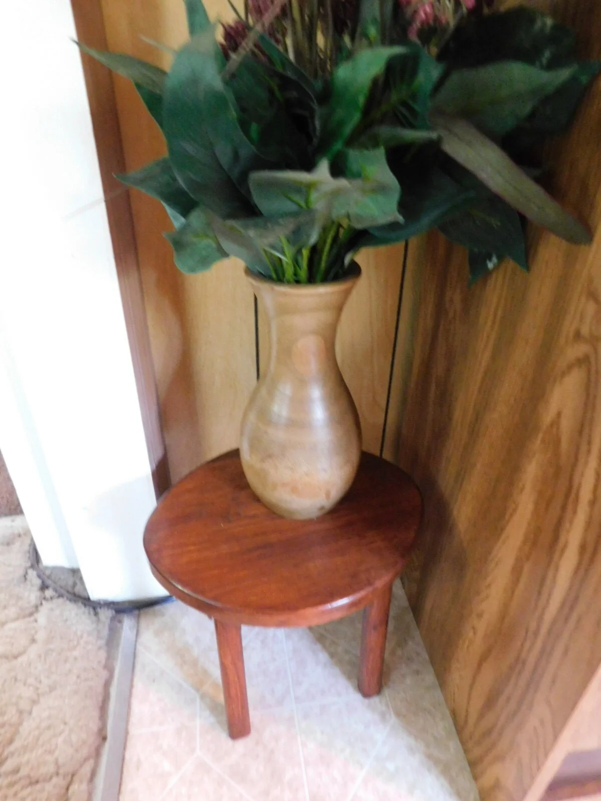 DSCN9203.JPG