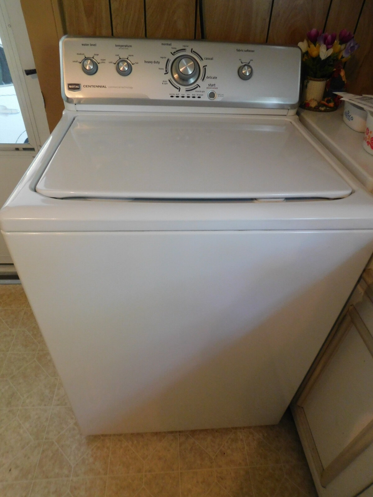 DSCN9235.JPG