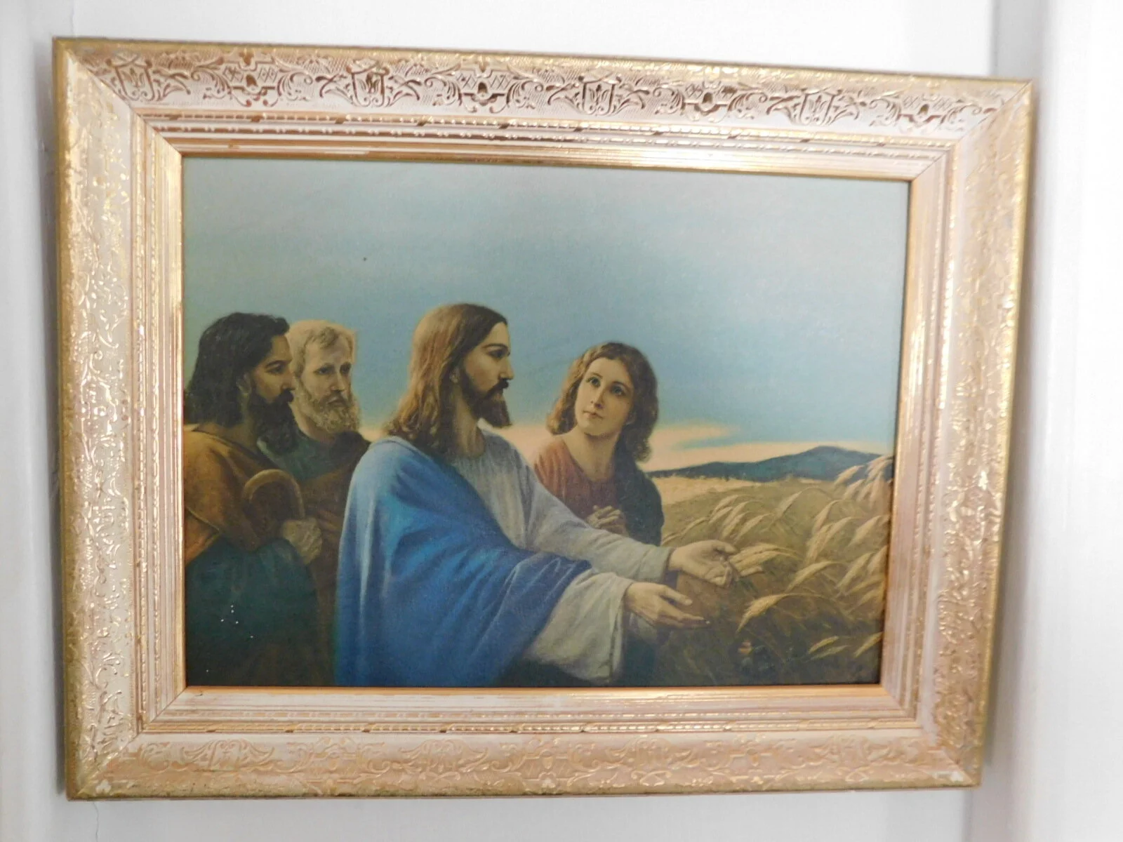 DSCN9284.JPG