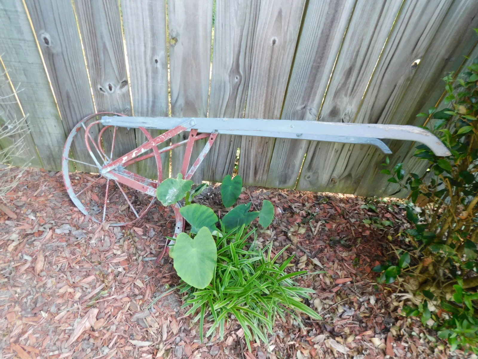 DSCN9415.JPG