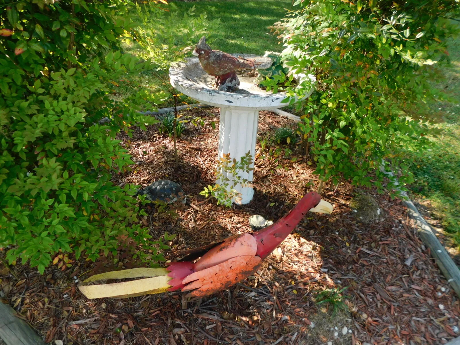 DSCN9418.JPG