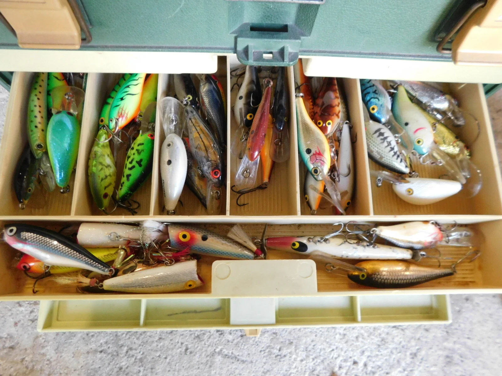 DSCN9450.JPG