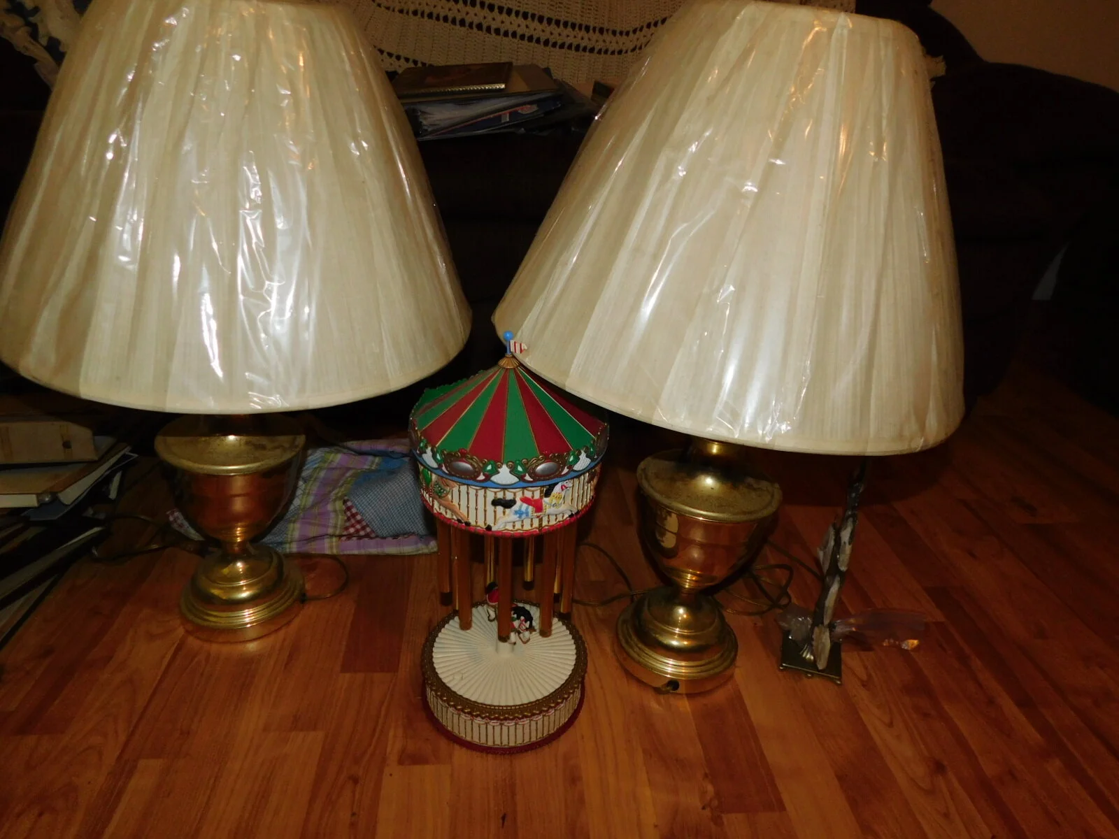 DSCN0063.JPG