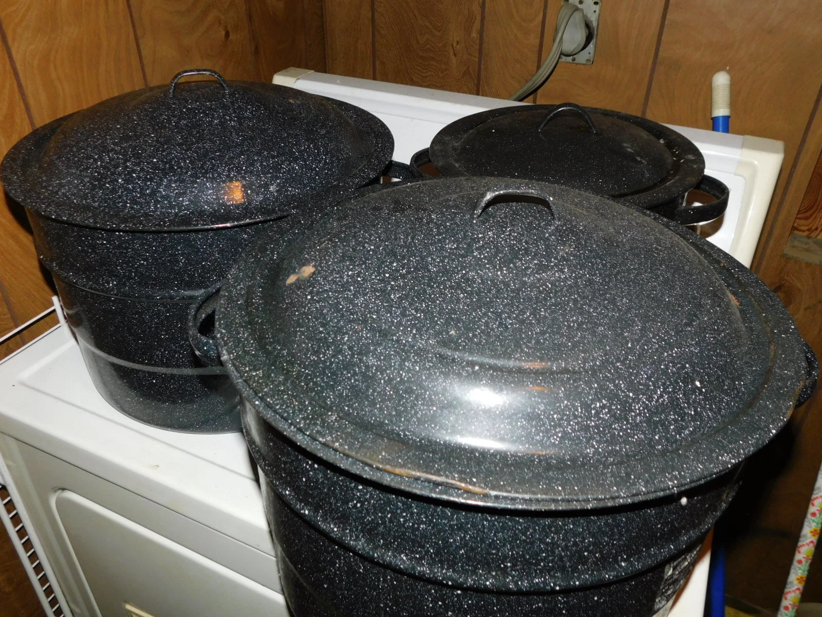 DSCN0114.JPG