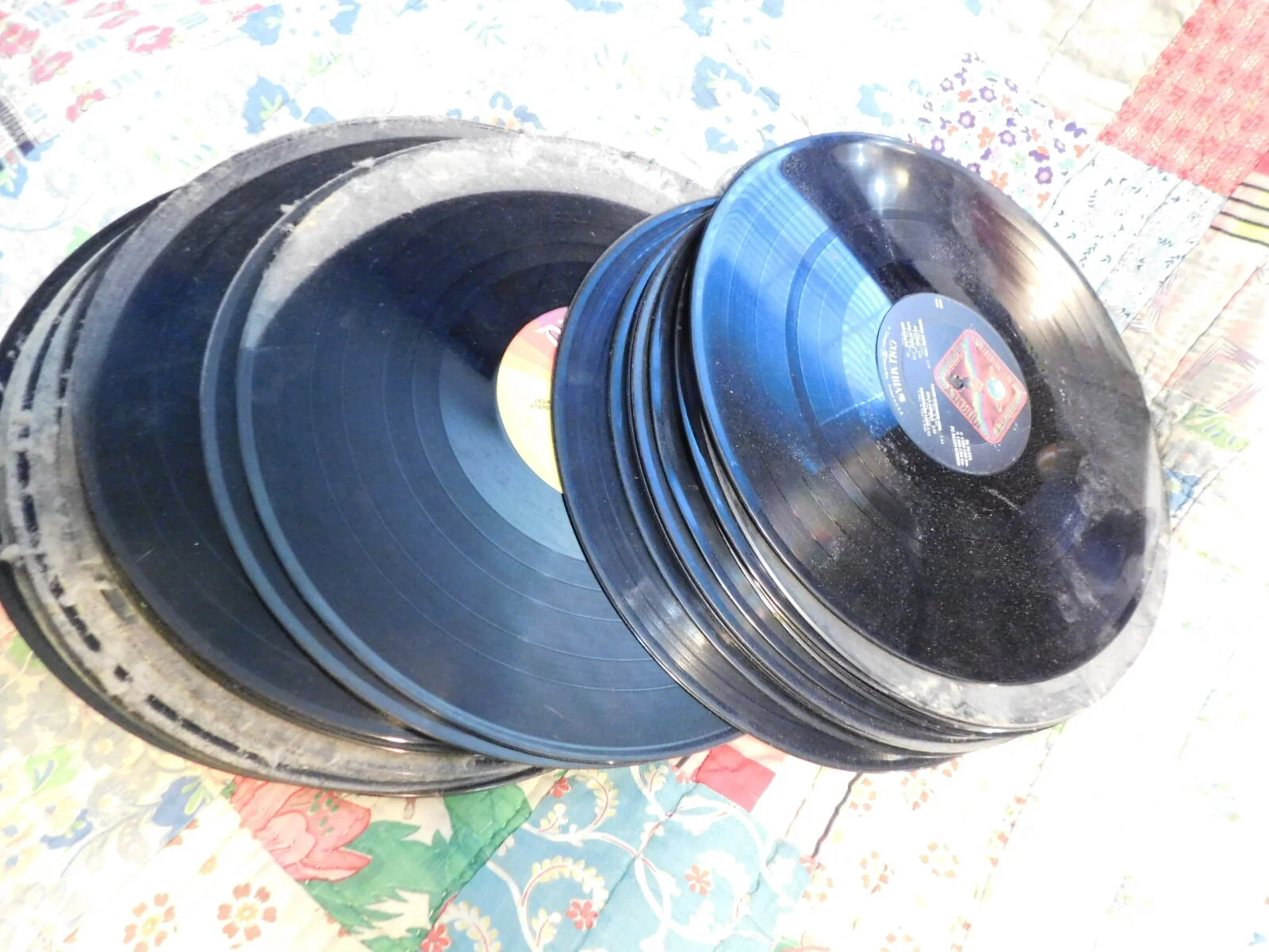 DSCN9995.JPG